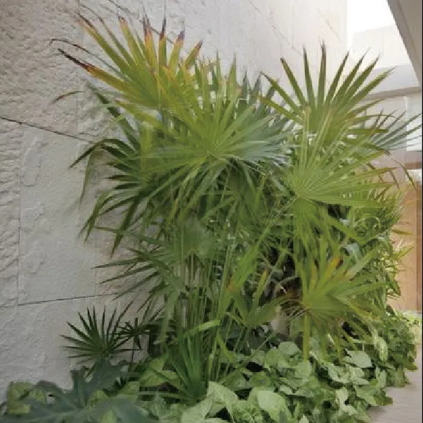 コンパクトハウス 内観イメージ